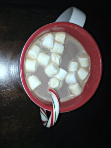 Hot cocoa with marshmellows